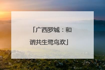 广西罗城：和谐共生鹭鸟欢